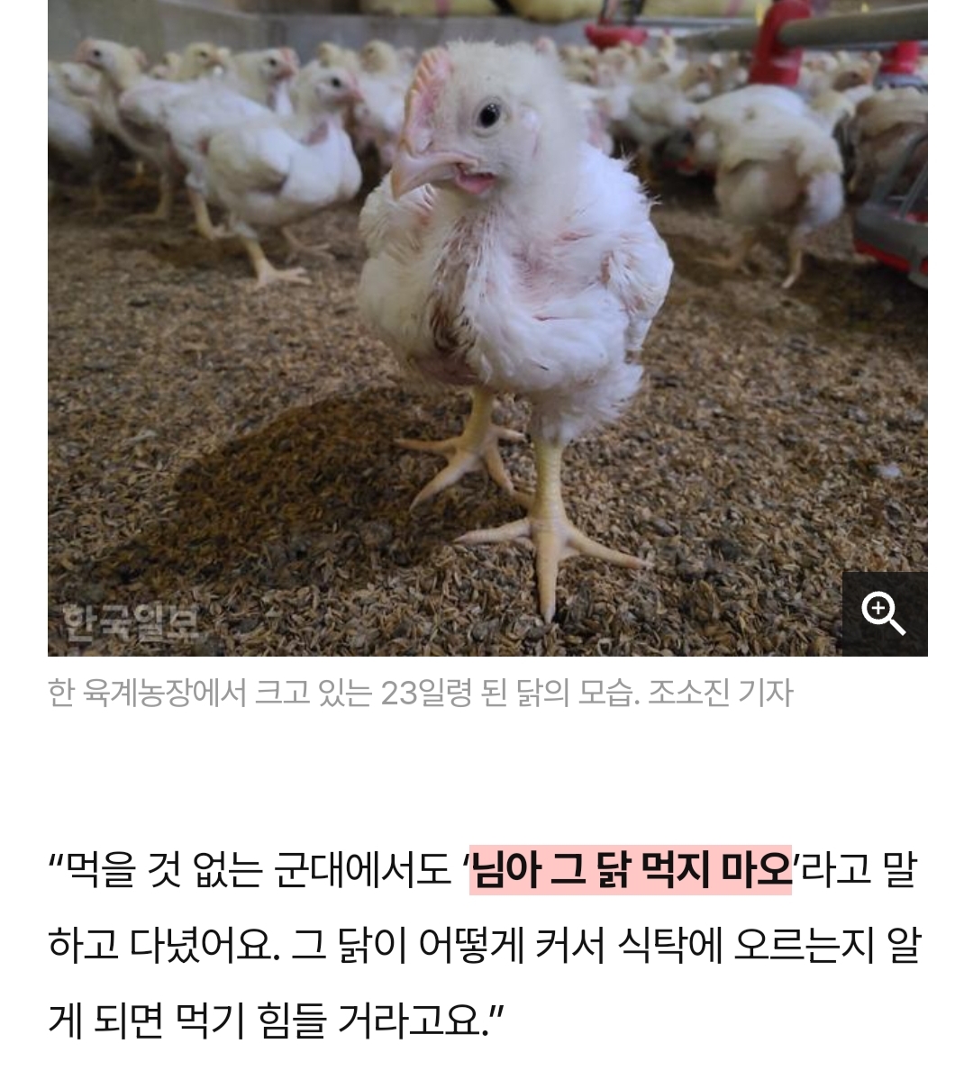 닭달치킨 이미지
