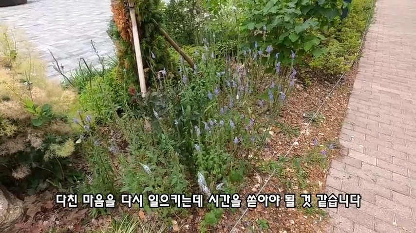 40대 중소기업 해고 시그널 | 인스티즈