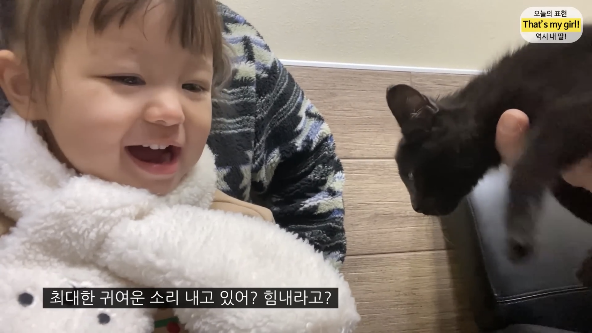 체리 자기가 숯이 주인이라고 생각하나봐 ㅋㅋㅋㅋ 병원 가는데 생이별인줄 알고 대성통곡ㅋㅋㅋㅋ | 인스티즈