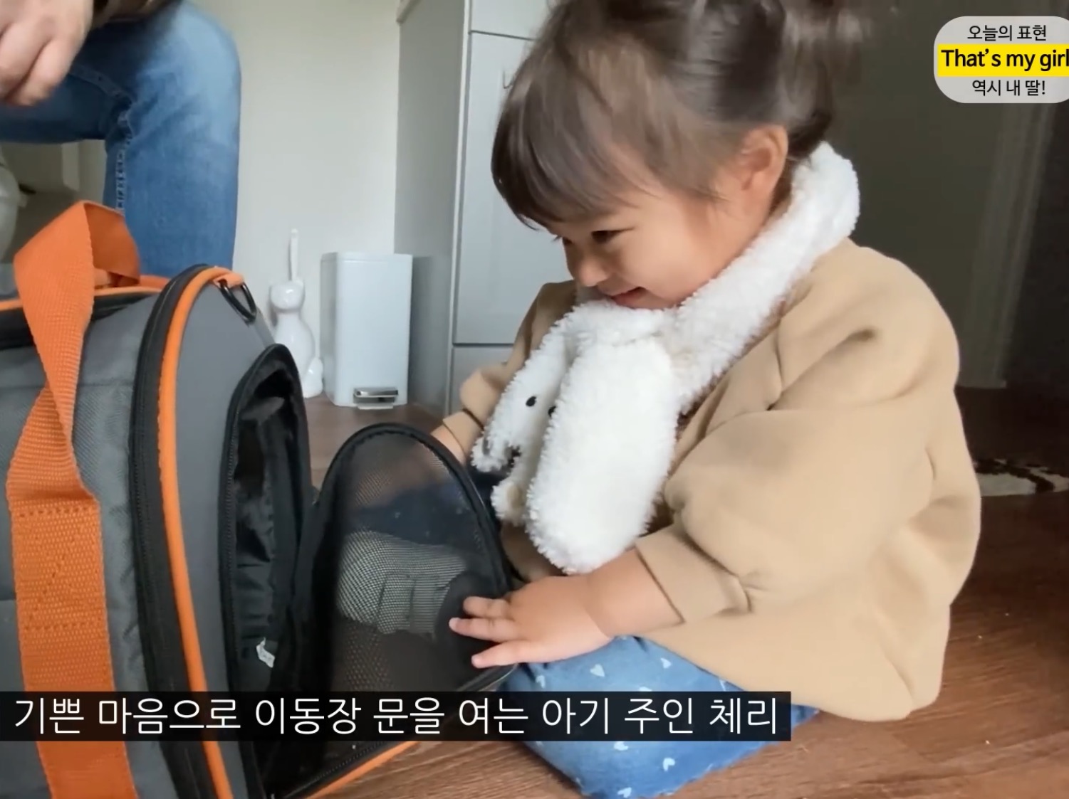 체리 자기가 숯이 주인이라고 생각하나봐 ㅋㅋㅋㅋ 병원 가는데 생이별인줄 알고 대성통곡ㅋㅋㅋㅋ | 인스티즈