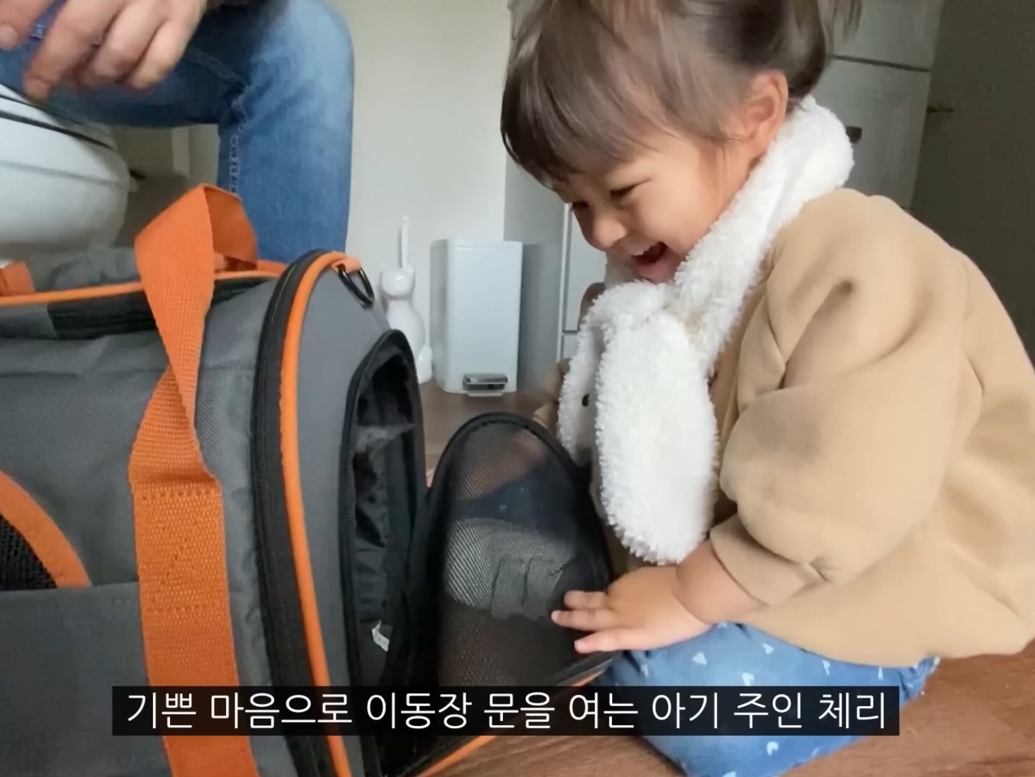 체리 자기가 숯이 주인이라고 생각하나봐 ㅋㅋㅋㅋ 병원 가는데 생이별인줄 알고 대성통곡ㅋㅋㅋㅋ | 인스티즈