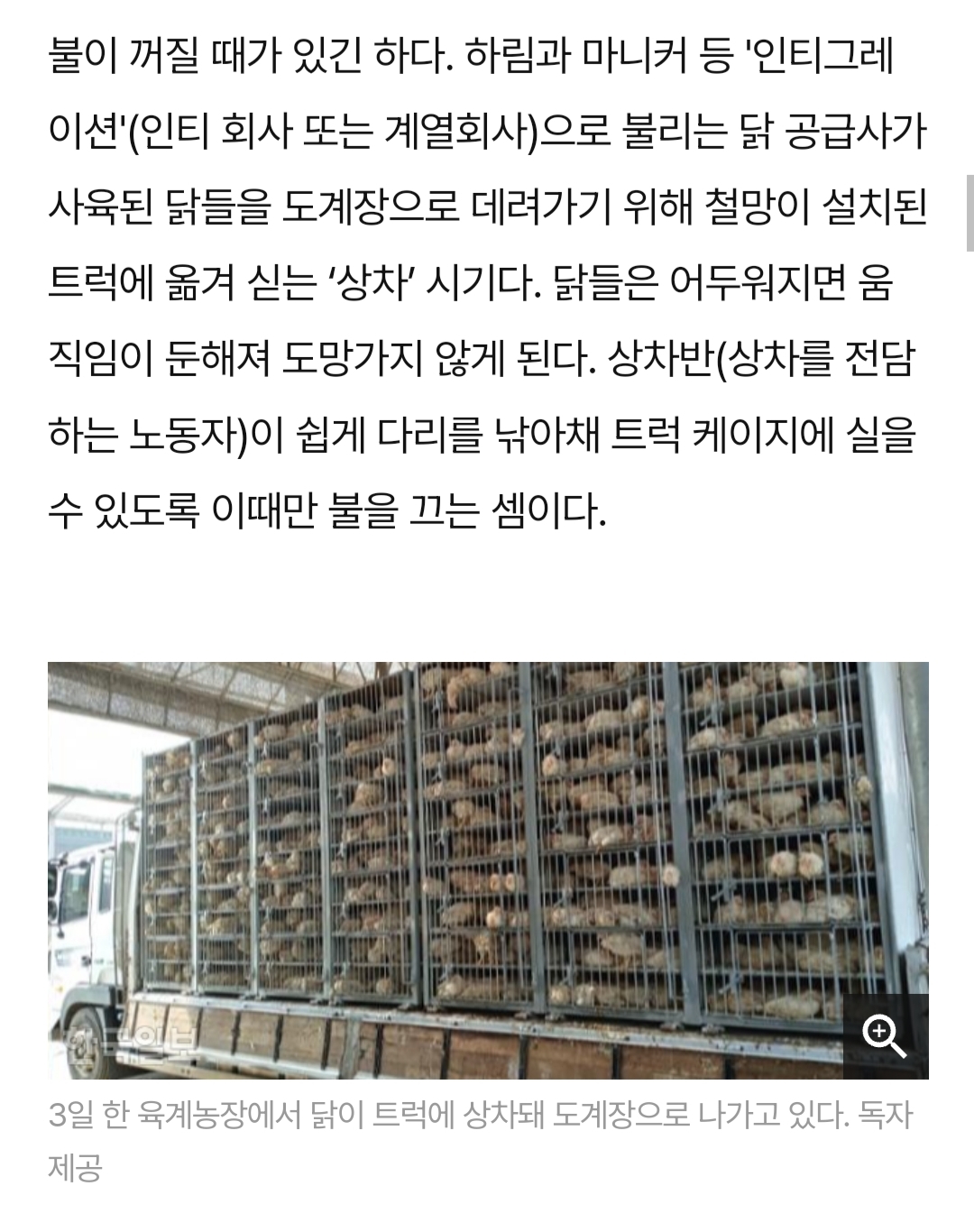 닭달치킨 이미지