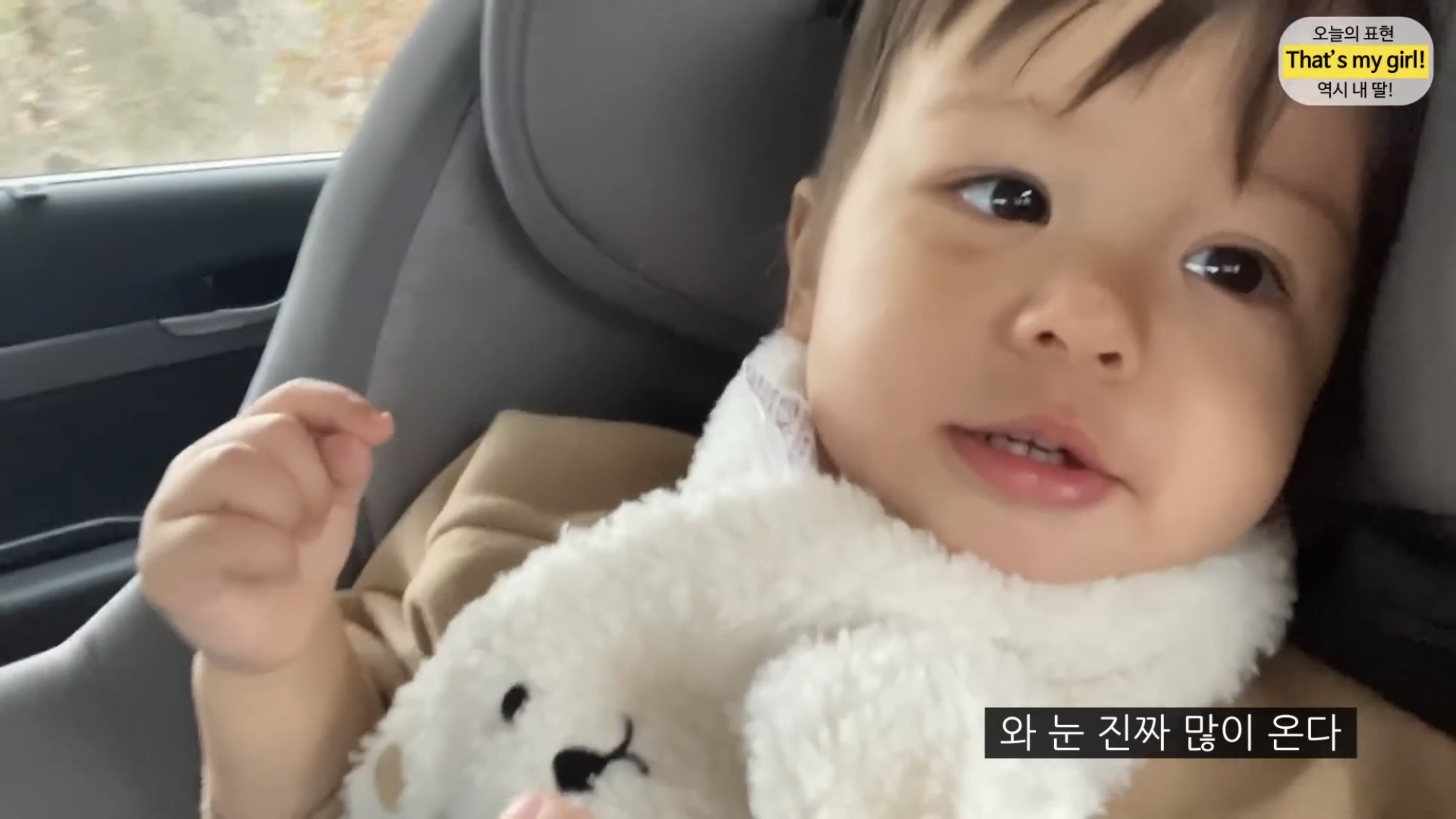 체리 자기가 숯이 주인이라고 생각하나봐 ㅋㅋㅋㅋ 병원 가는데 생이별인줄 알고 대성통곡ㅋㅋㅋㅋ | 인스티즈