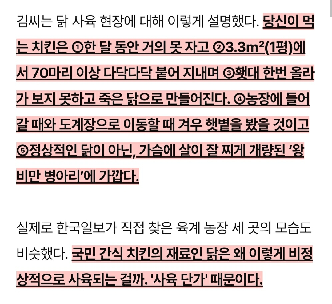 닭달치킨 이미지