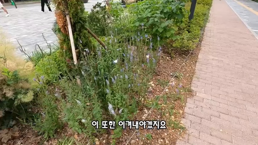 40대 중소기업 해고 시그널 | 인스티즈