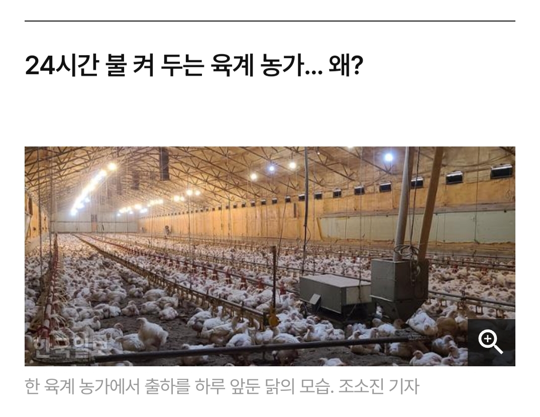 닭달치킨 이미지