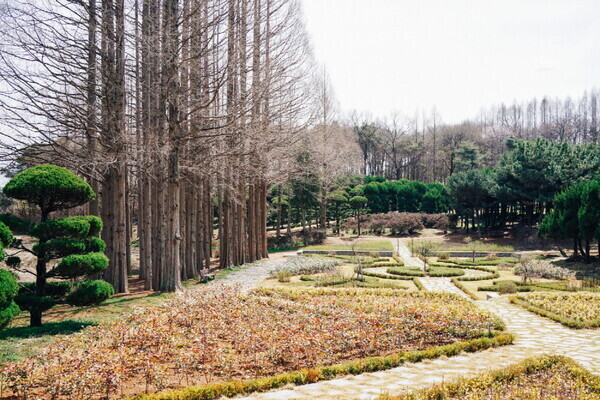 오로지;꽃 이미지