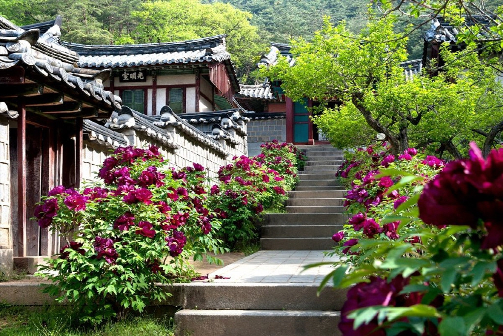 서원 이미지