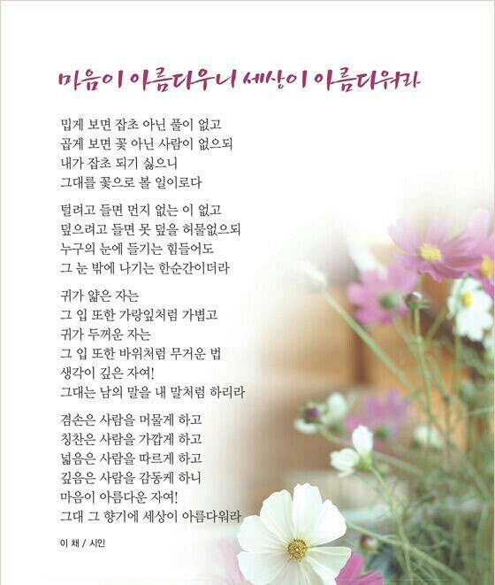 사치 이미지