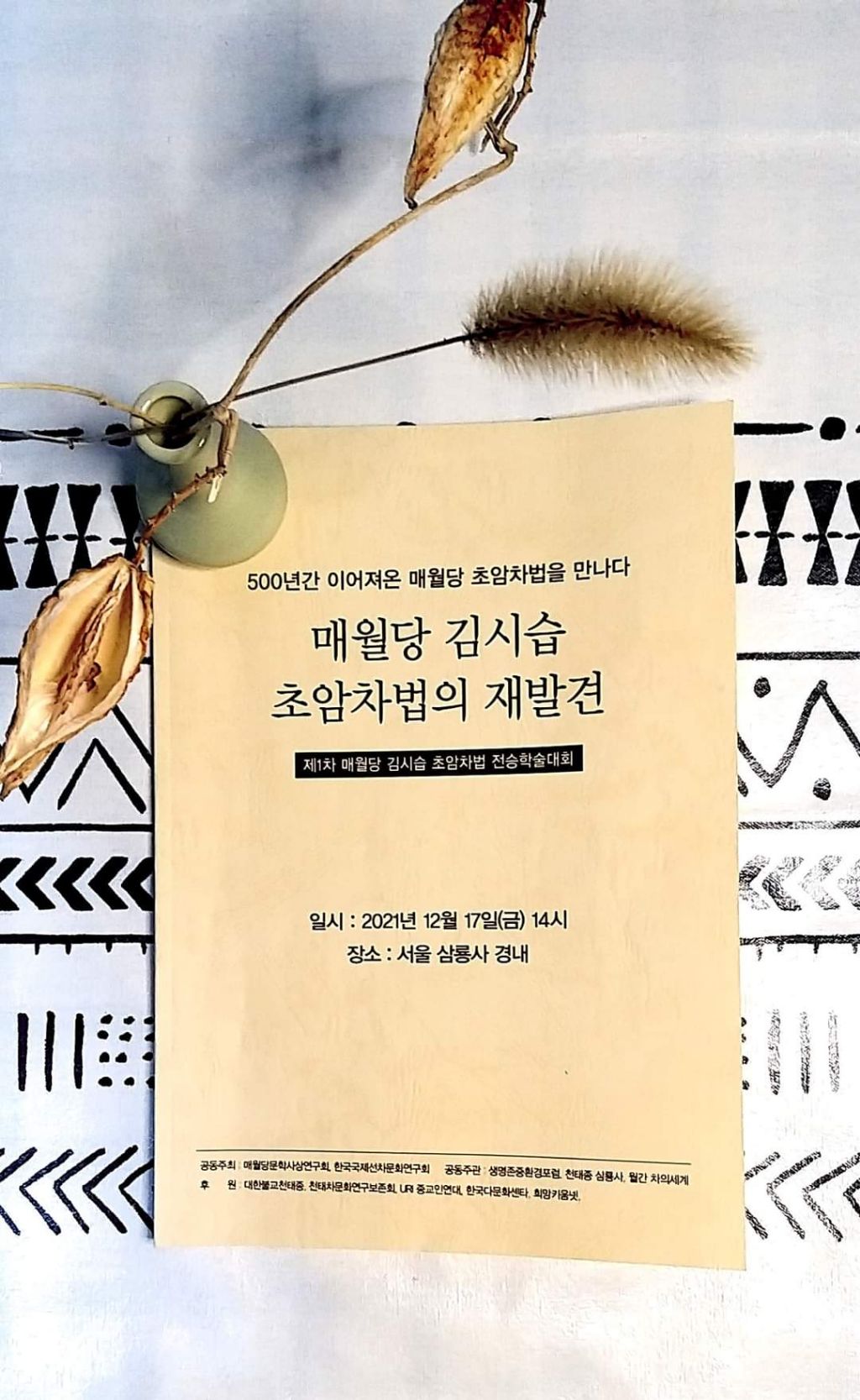 Daum 카페