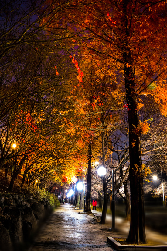 두류공원 이미지