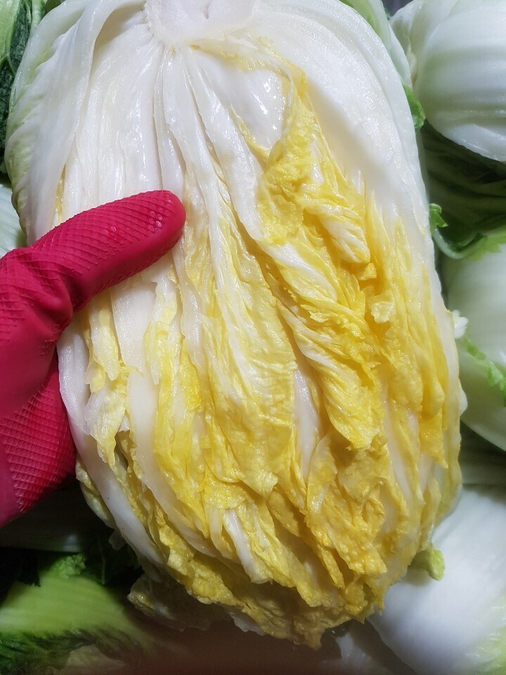 해남집 이미지