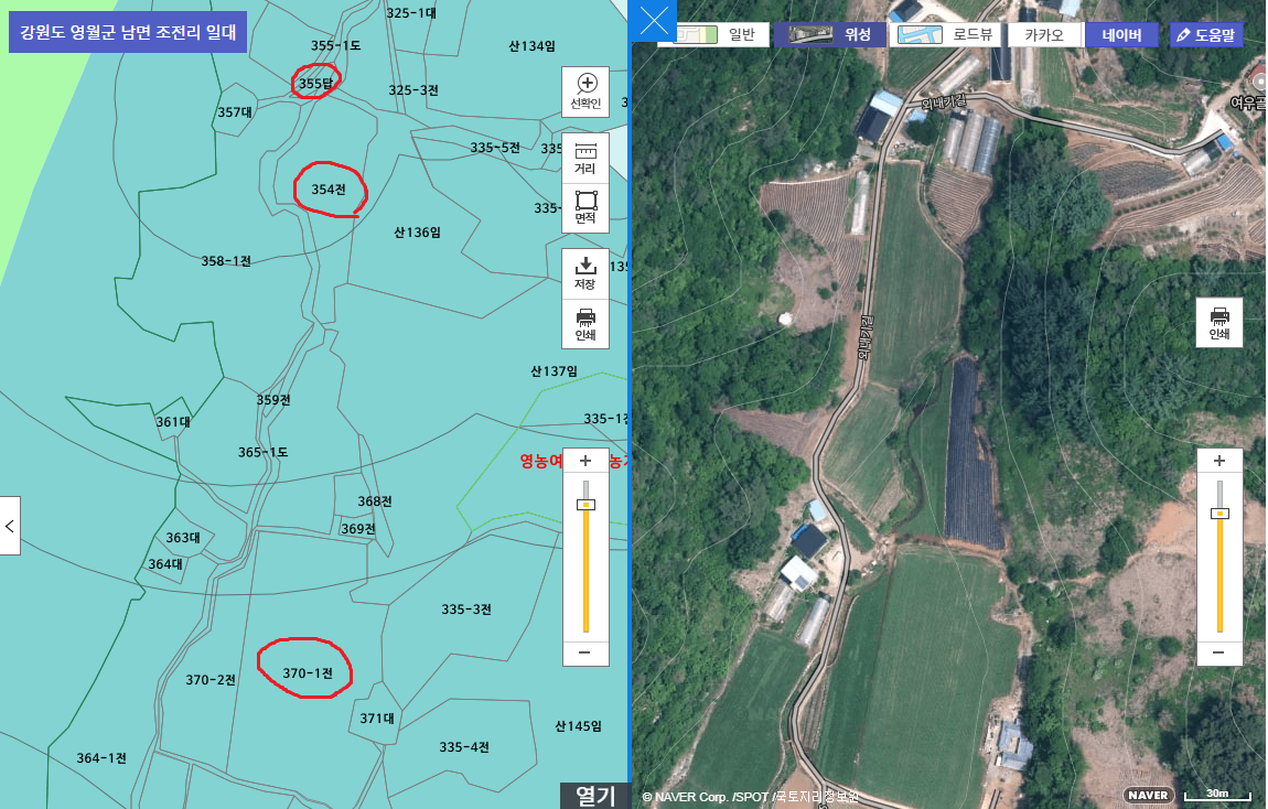 남면옥수수 이미지