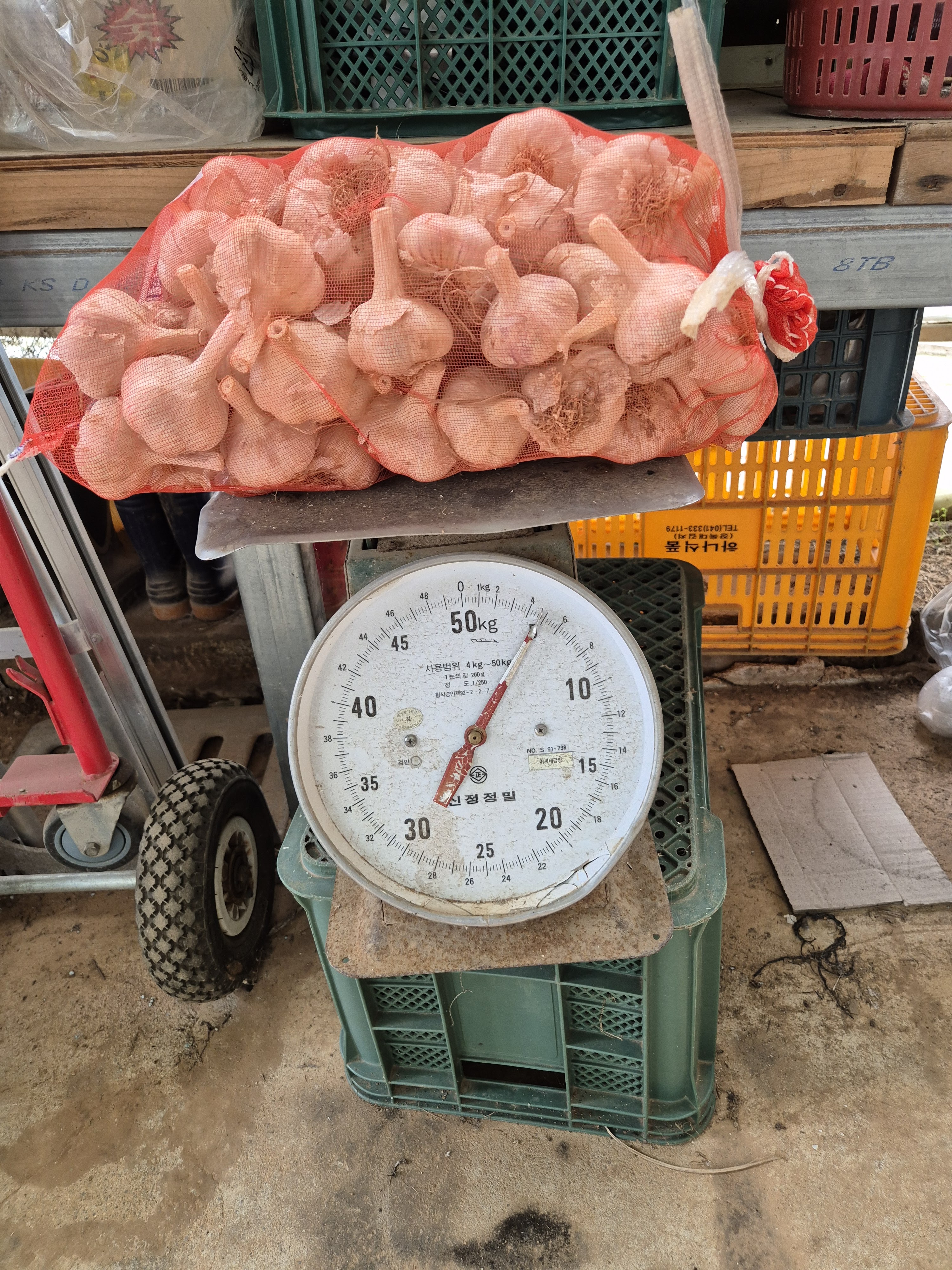 산너울농원 이미지