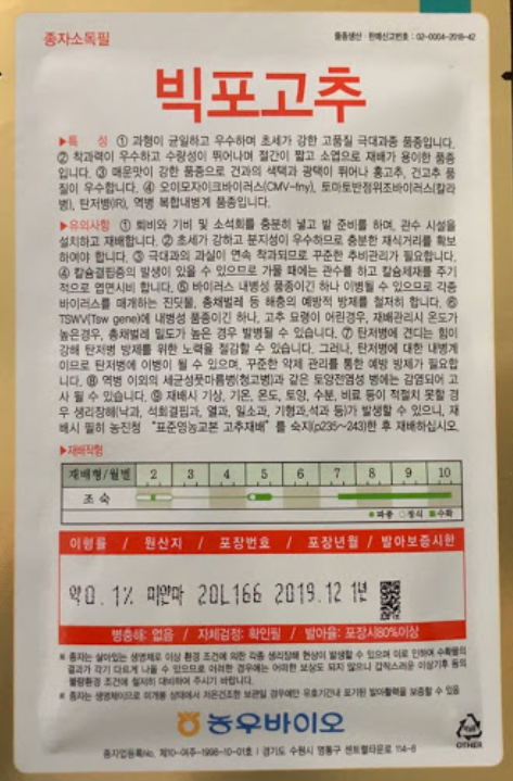 빅포 이미지