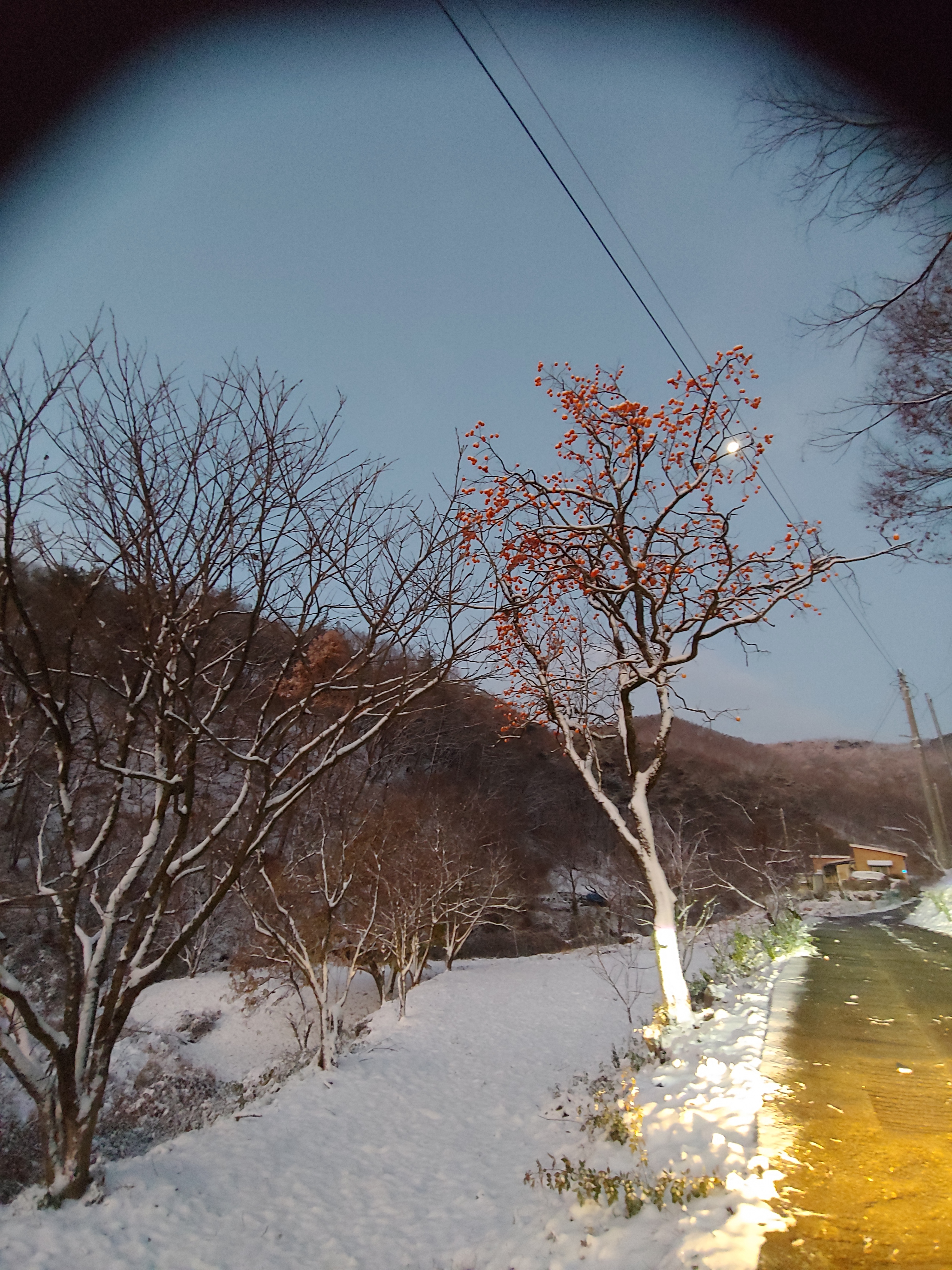 다래산장 이미지