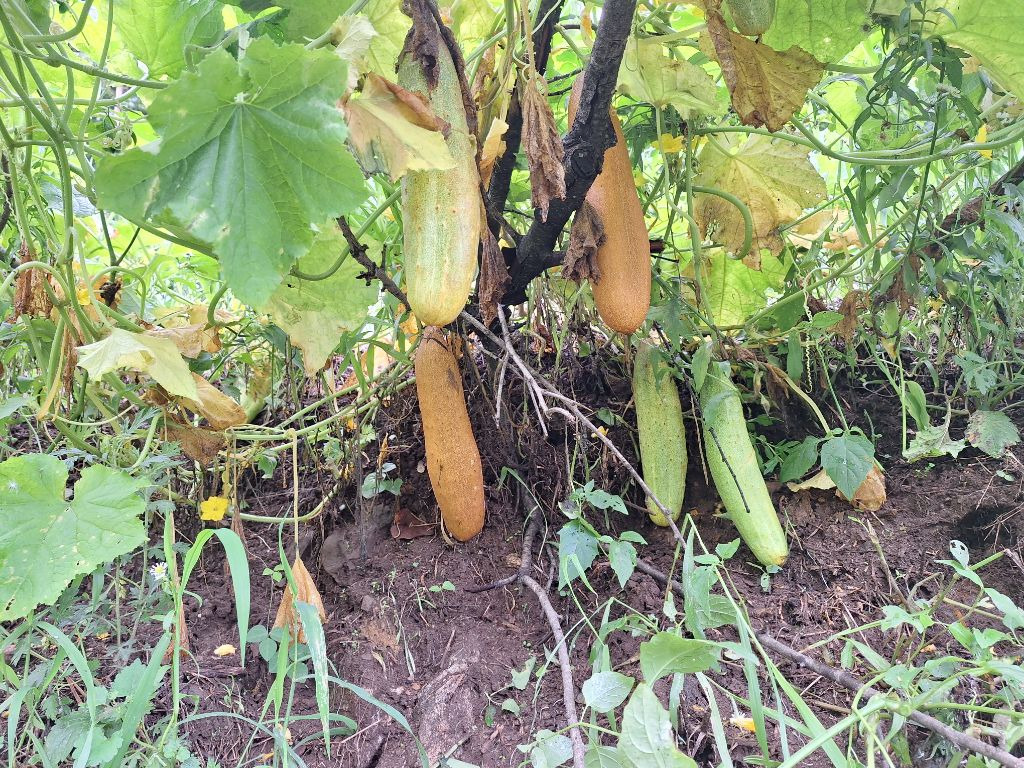 다래산장 이미지