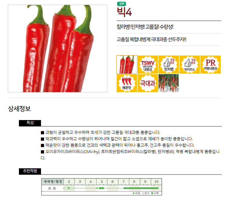 빅포 이미지
