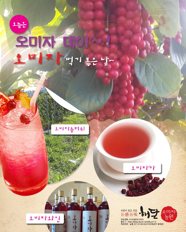 오미자 이미지
