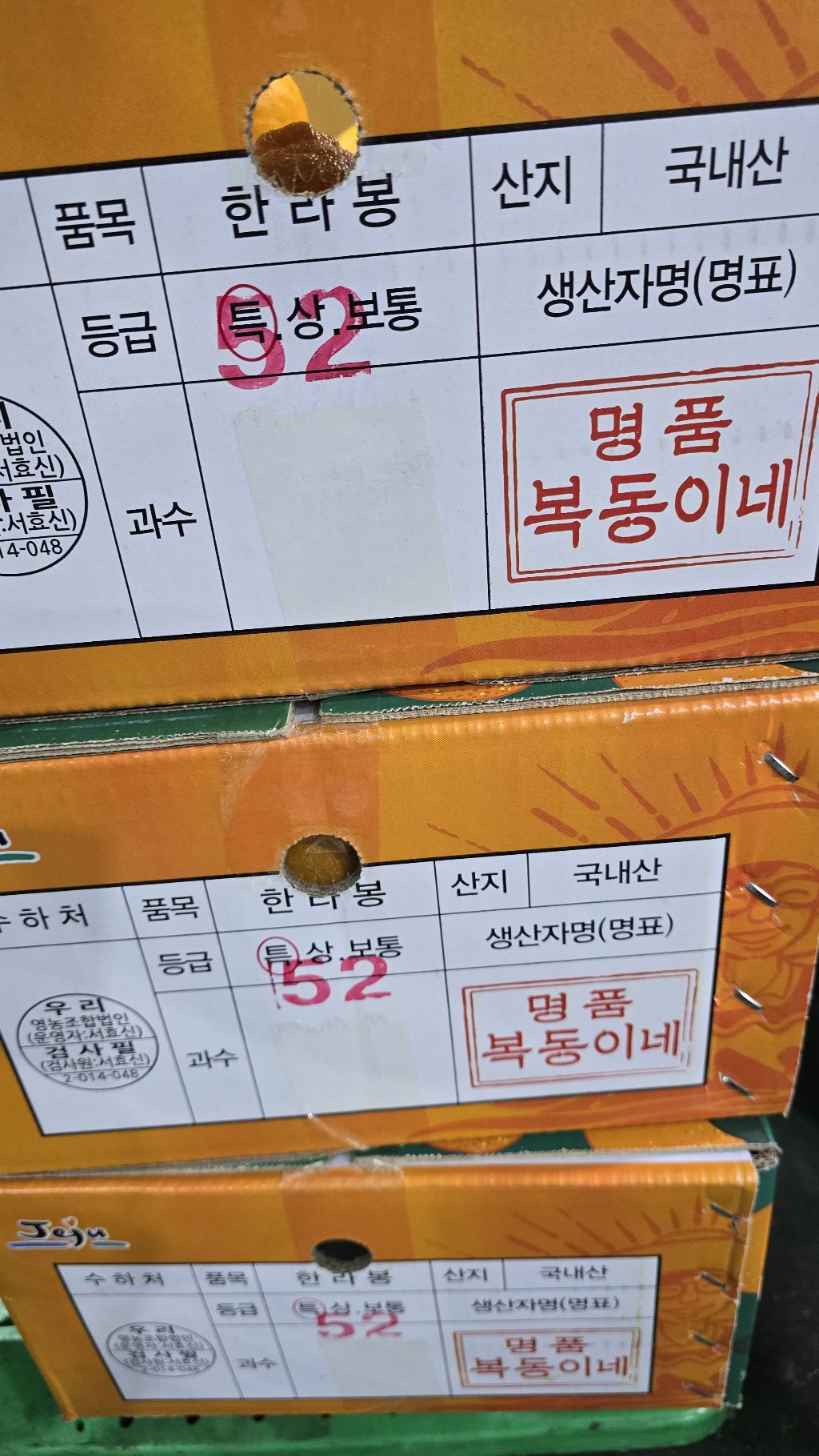 복동이 이미지