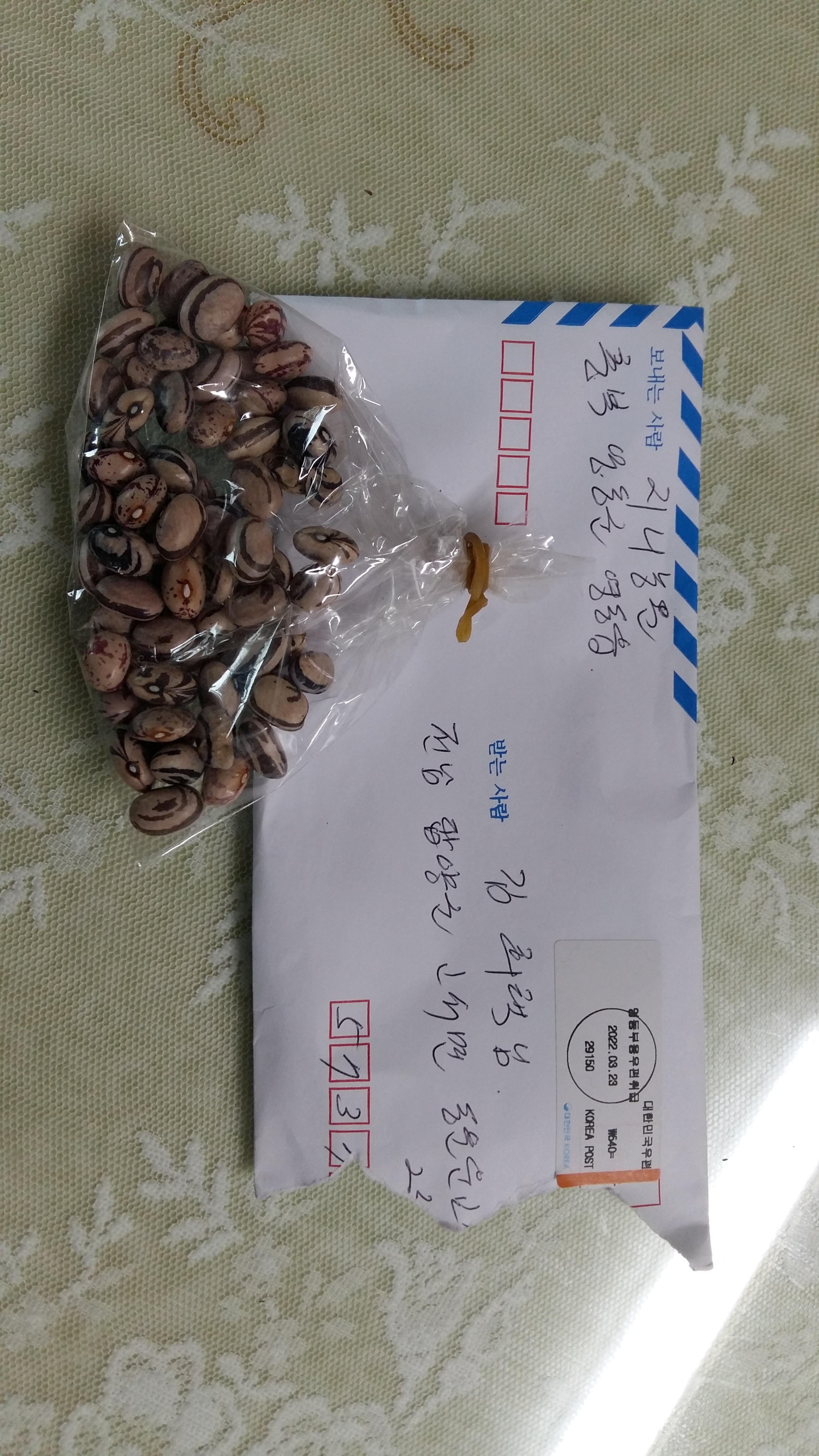 지니농원 이미지