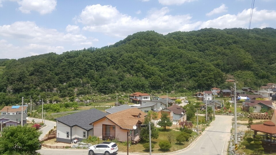 대지 이미지