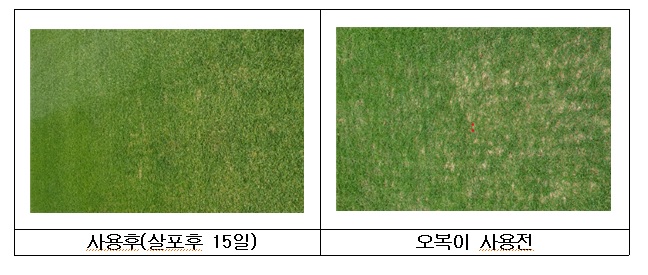 수목관리 이미지