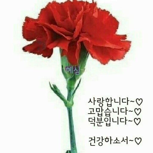 우리끼리 이미지