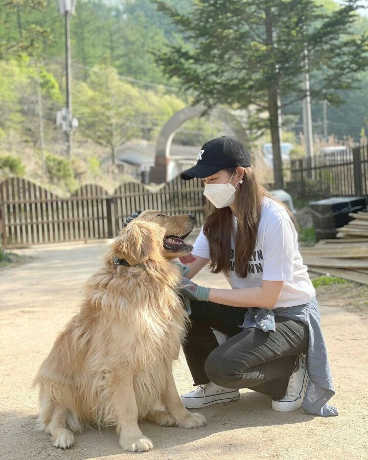 하림푸드 이미지