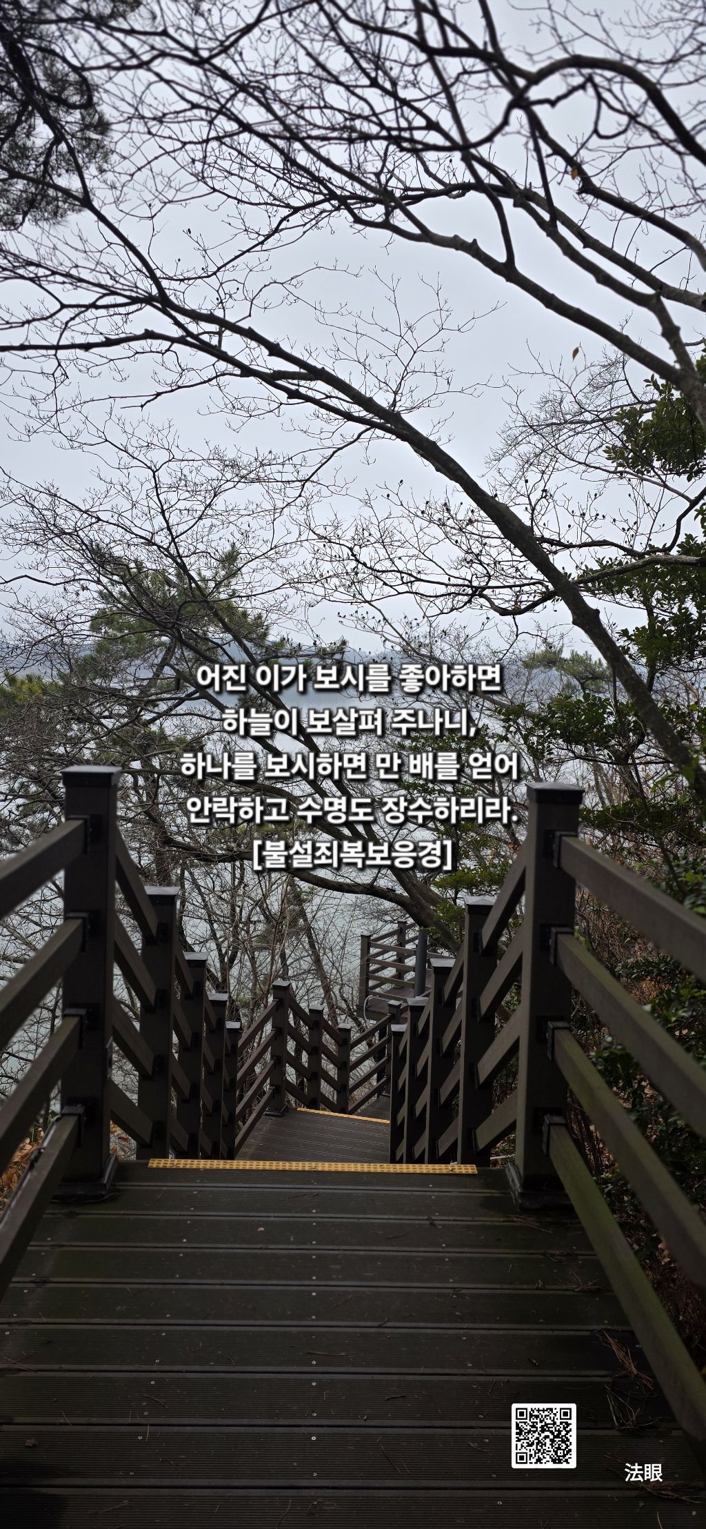 이가 이미지