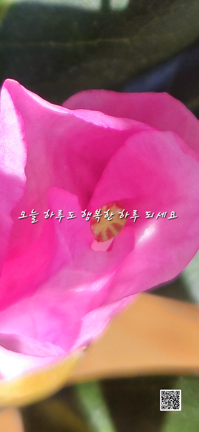 빛깔 이미지