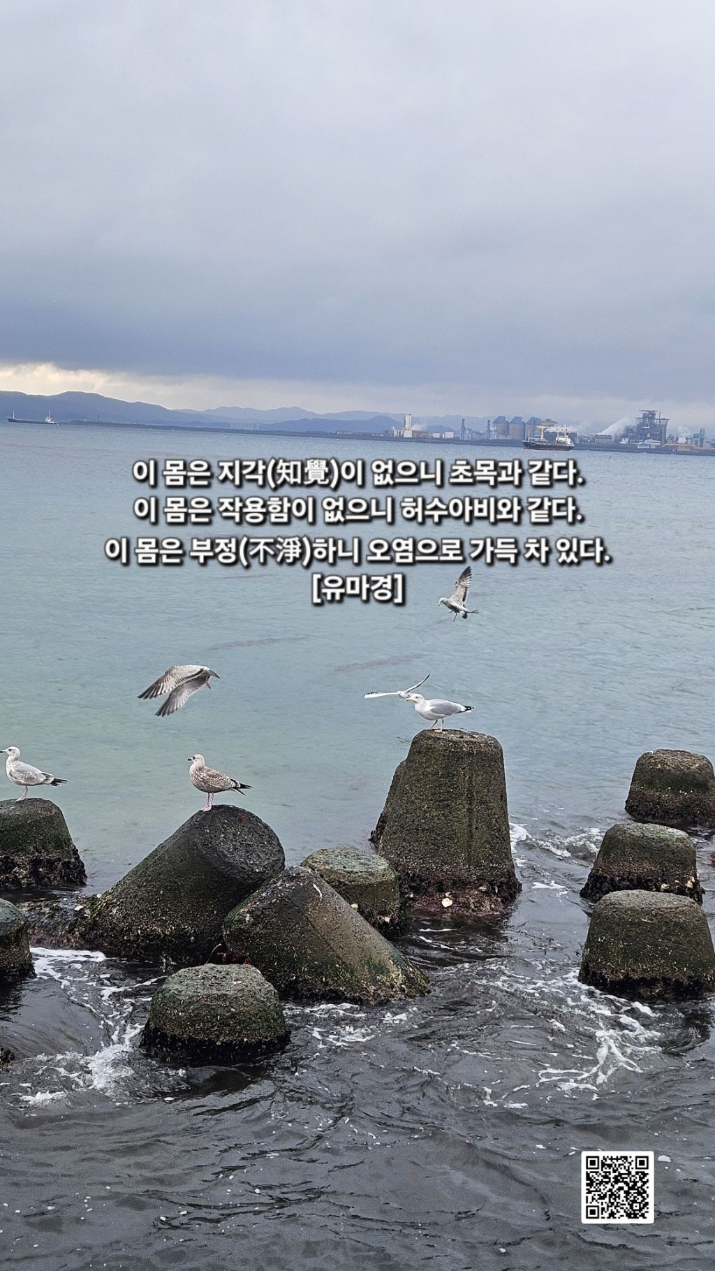 초목 이미지