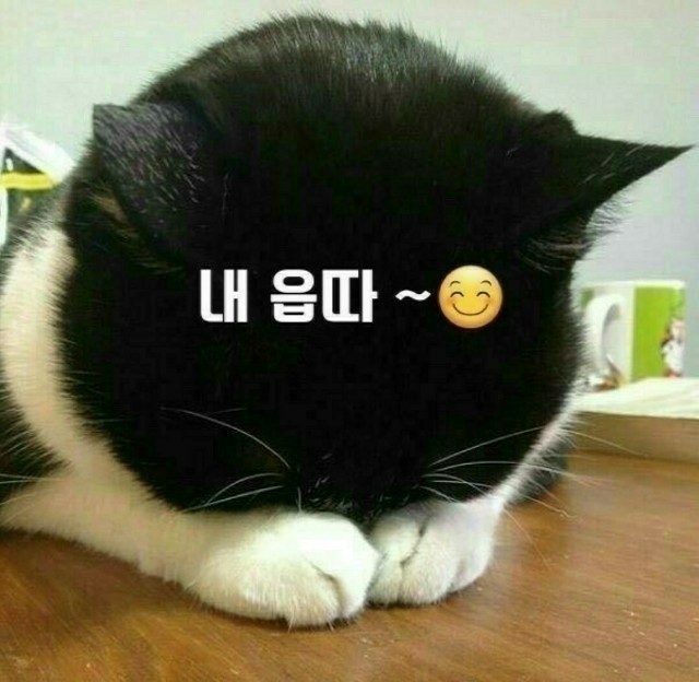 바븐 이미지