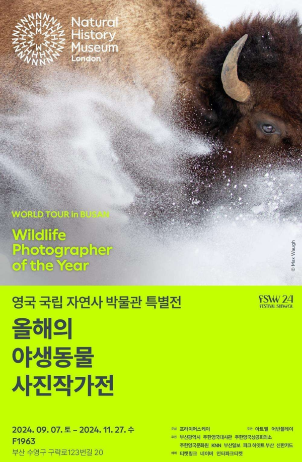 세이에프 이미지
