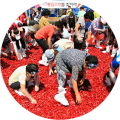 1570804d813ba62c024ea5e2acef2b3d0d47e80c