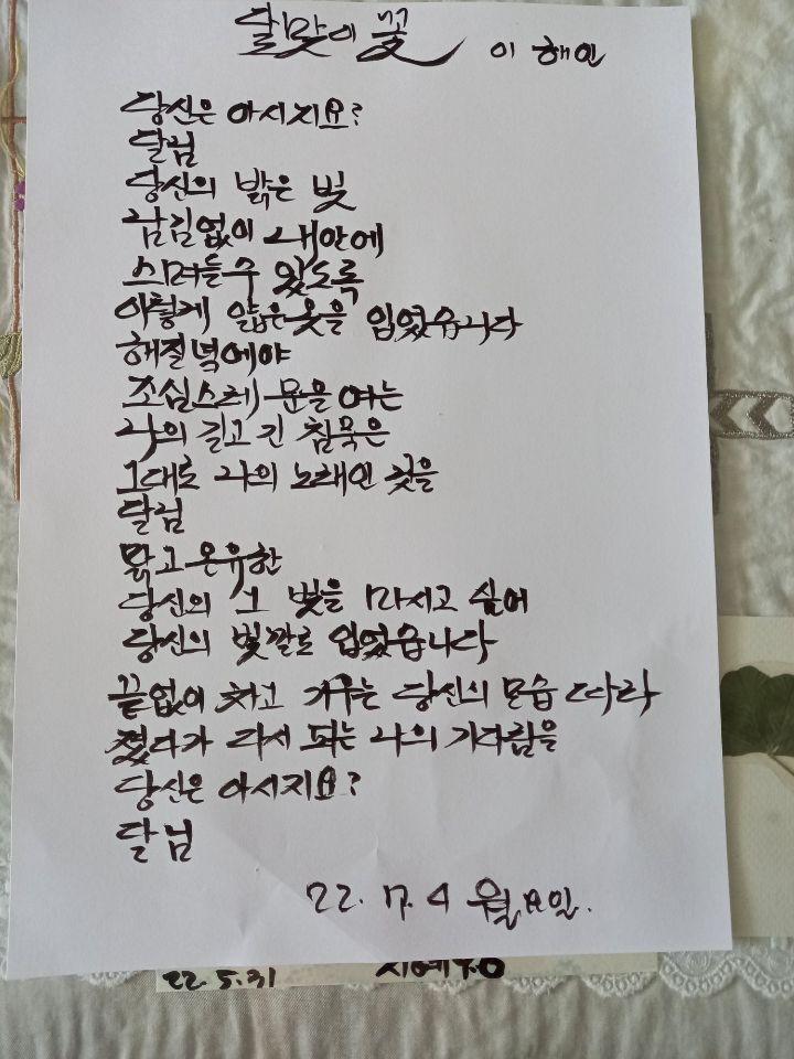 달맞이언니 이미지