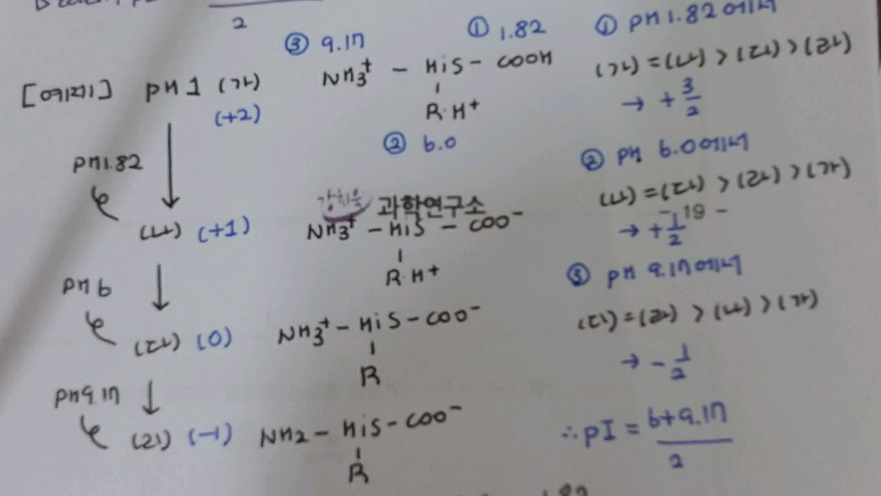 히스티딘의 적정 곡선