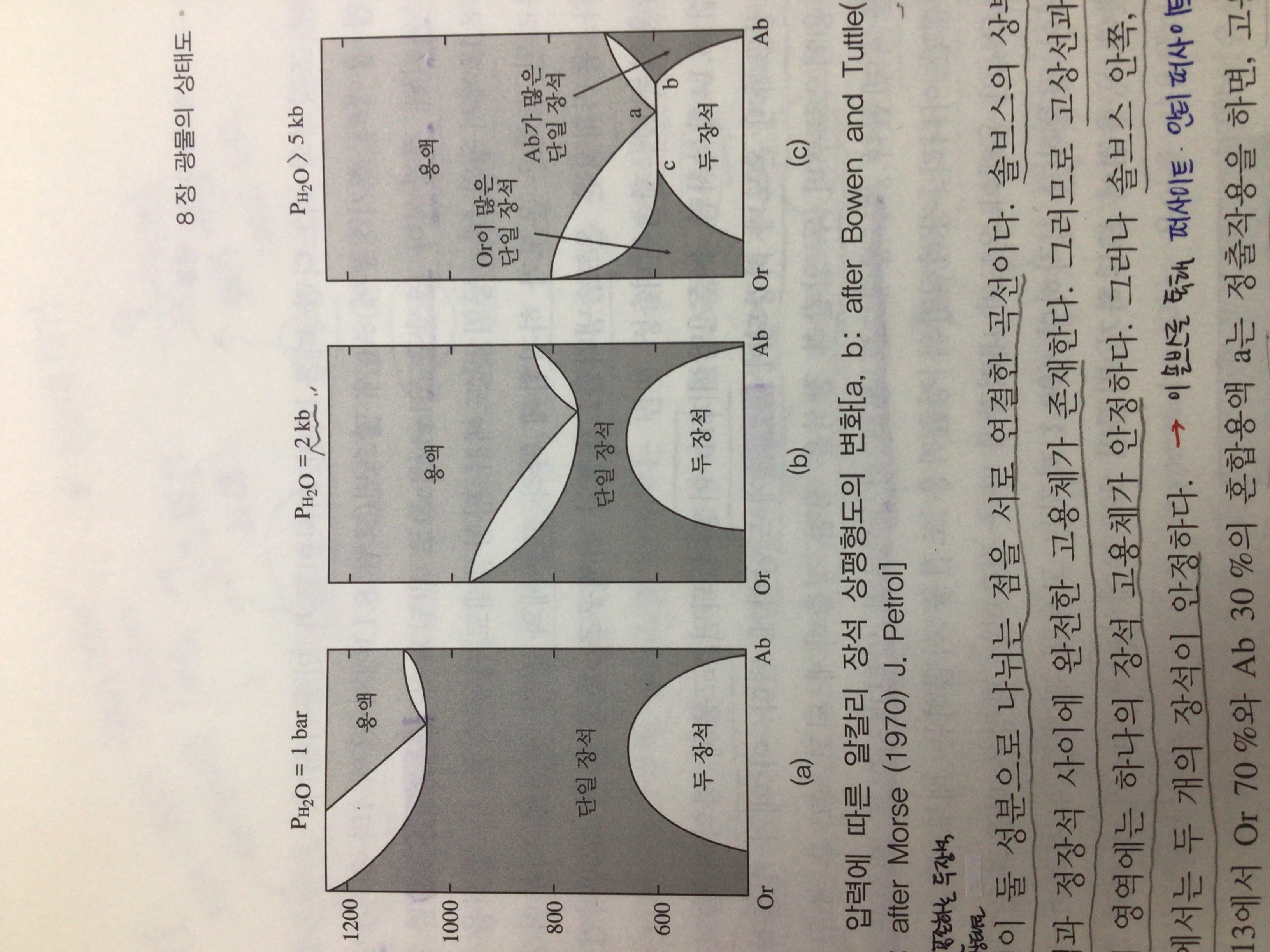 Daum 카페