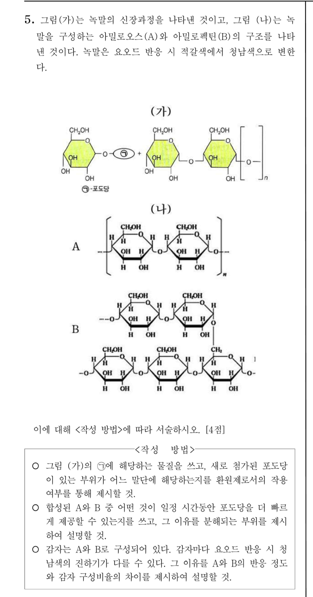 아밀로펙틴 구조