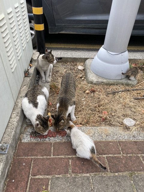 삼인테크 이미지