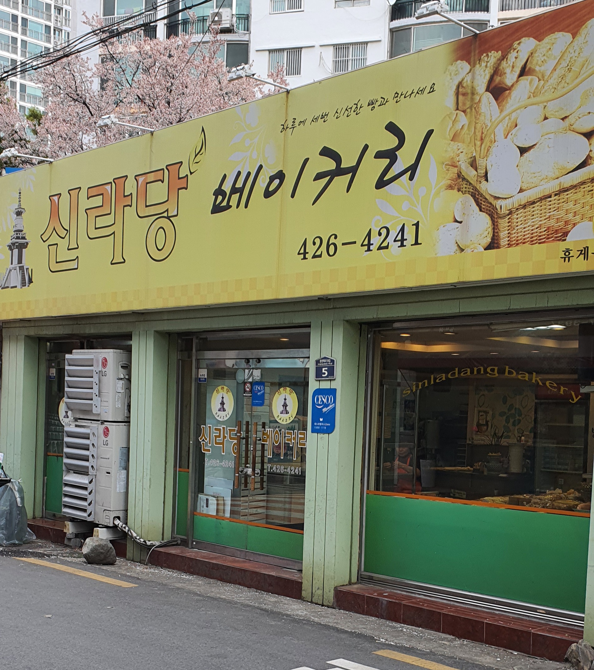 신라당 이미지