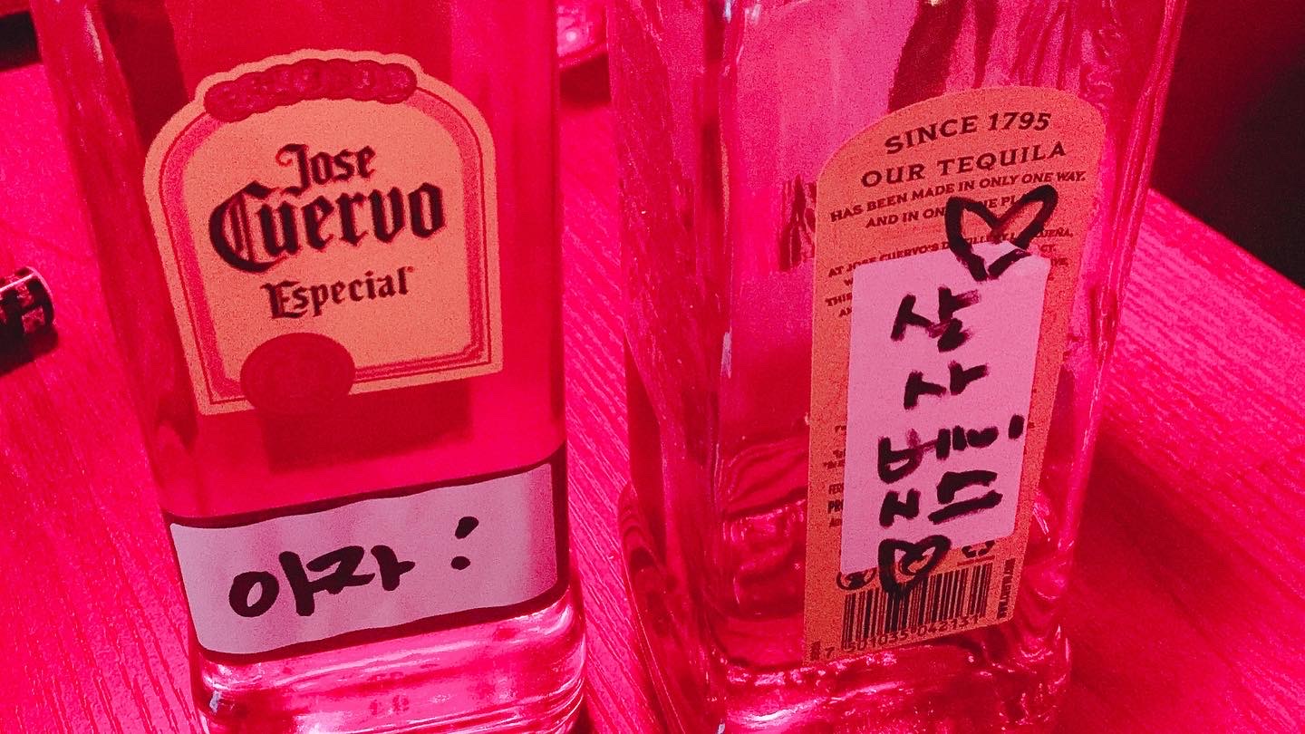 보니따 이미지