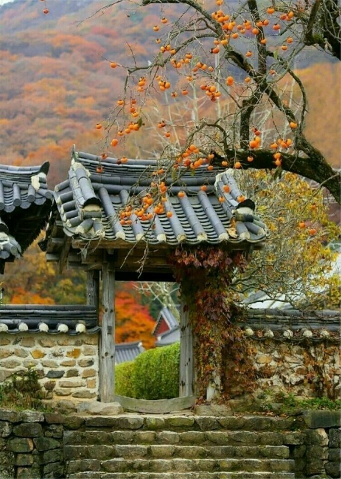 인덕 이미지