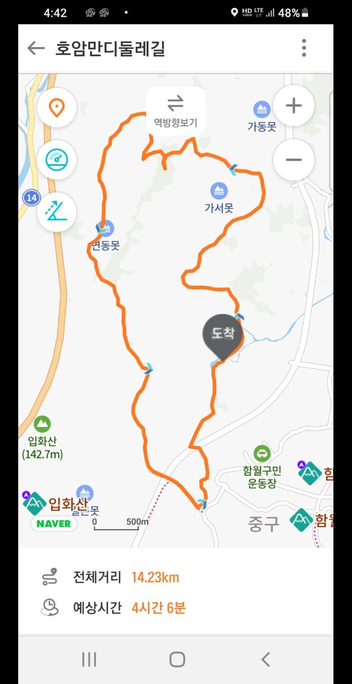 만디 이미지
