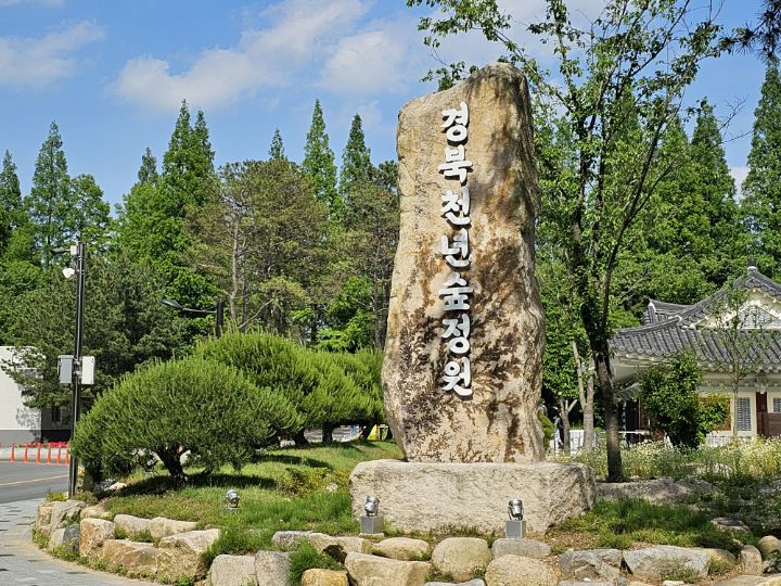 천년숲 이미지