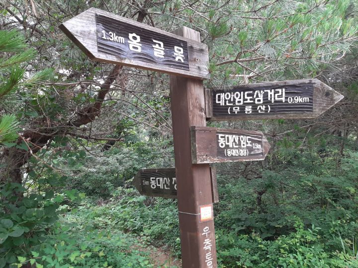 대안여행 이미지