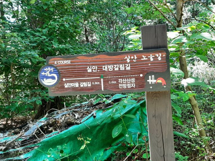 교차로여행 이미지