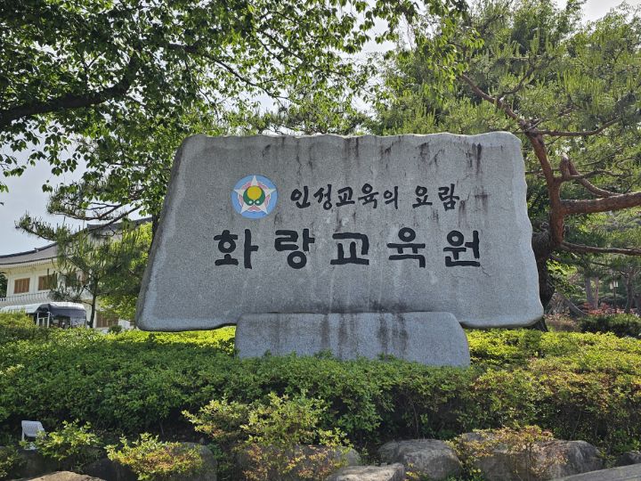 천년숲 이미지