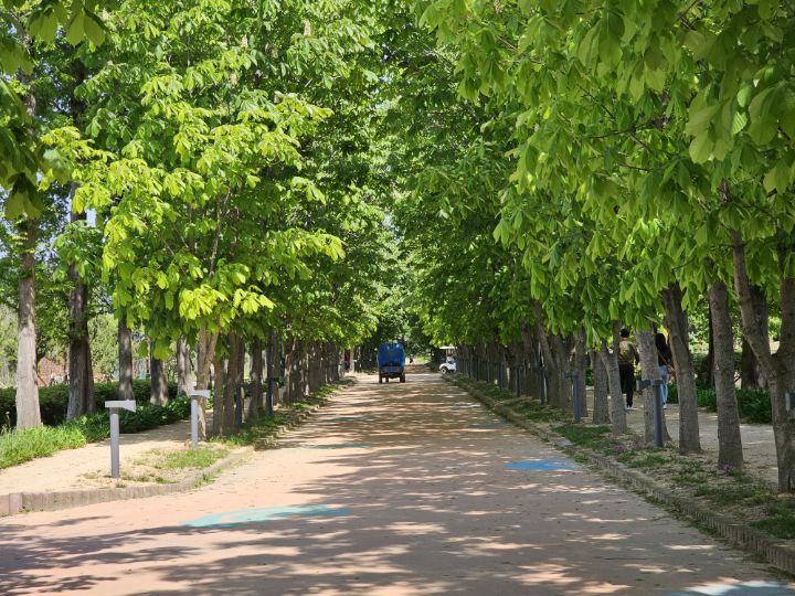 천년숲 이미지