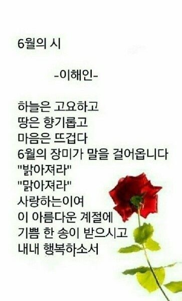 토시리 이미지